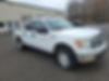 1FTEW1E82AFB24259-2010-ford-f-150-2
