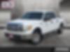 1FTEW1C89AFD24879-2010-ford-f-150-0