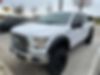 1FTEW1EP2FKF01503-2015-ford-f-150-0