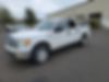 1FTEW1E82AFB24259-2010-ford-f-150-0