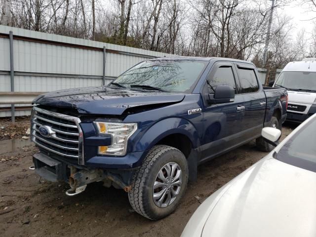 1FTEW1EP1GFA93991-2016-ford-f-150-0