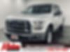 1FTEW1E84HFB42269-2017-ford-f-150-0