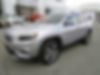 1C4PJMDX3LD520040-2020-jeep-cherokee