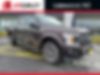 1FTEW1EP7KFB10415-2019-ford-f-150-0