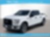 1FTEW1EP4GKE13263-2016-ford-f-150-0