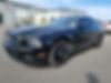 1ZVBP8AM4E5262003-2014-ford-mustang-0