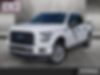 1FTEW1EP9HFC81546-2017-ford-f-150-0