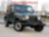 1J4FA29P92P712546-2002-jeep-wrangler-0