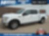 1FTEW1EP6GKF05037-2016-ford-f-150-0