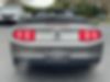 1ZVBP8FH5A5129109-2010-ford-mustang-2