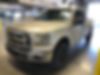 1FTEX1EP8HFA06361-2017-ford-f150-0
