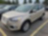 1FMCU0GD1JUD14269-2018-ford-escape-0