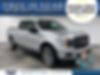 1FTEW1EP5KFA33530-2019-ford-f-150-0