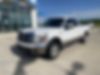 1FTFX1CT5DFC24417-2013-ford-f-150-1