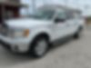 1FTFW1CT5BFC18083-2013-ford-f-150-0