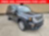 ZACNJBD10LPL39001-2020-jeep-renegade-0