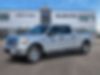 1FTFW1ET9BFC48829-2011-ford-f-150-0