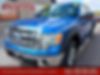1FTFW1ET0DFD80476-2013-ford-f-150-0