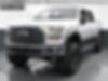 1FTEW1EFXGKF10748-2016-ford-f-150-1