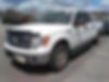 1FTFW1ET8DFD20543-2013-ford-f-150-0