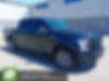 1FTEW1EP8HKD25138-2017-ford-f-150-0