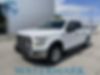 1FTEW1EP6HKD05373-2017-ford-f-150-0