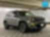 ZACNJAB19KPK52919-2019-jeep-renegade-0