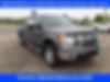 1FTFW1ET9BKD41163-2011-ford-f-150-0
