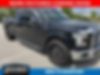1FTEW1CP0GKD07914-2016-ford-f-150-0