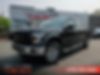 1FTEW1EP7GKE66216-2016-ford-f150