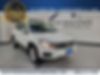 WVGSV7AX0HW500744-2017-volkswagen-tiguan-0