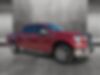 1FTEW1CP5GKD24112-2016-ford-f-150-1