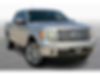 1FTFW1CF2BFD28423-2011-ford-f-150-0