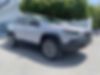 1C4PJMBX3MD100069-2021-jeep-cherokee-0