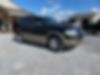 1FMJU1H56DEF21789-2013-ford-expedition-0