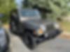 1J4FA59S73P363510-2003-jeep-wrangler-2