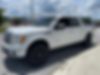 1FTFW1ET1BFC83509-2011-ford-f-150-1