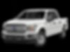 1FTEW1EP7LFC03310-2020-ford-f-150-0