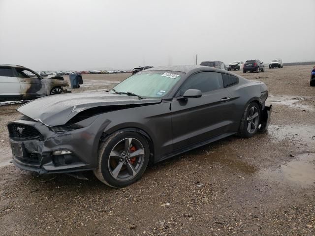 1FA6P8AMXG5256462-2016-ford-mustang-0