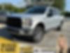 1FTEW1EP1HFA06446-2017-ford-f-150-0