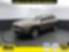 1C4PJMDBXJD578485-2018-jeep-cherokee-0
