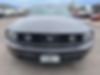 1ZVHT80N775289859-2007-ford-mustang-1