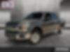 1FTEW1C56JKD83384-2018-ford-f-150-0