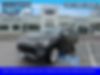 1FMJK1MT5JEA31088-2018-ford-expedition-max-0