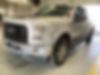 1FTEX1EP5HFC58939-2017-ford-f-150-0