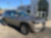 1C4PJMLB3LD510050-2020-jeep-cherokee-1
