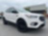 1FMCU0GD8JUD16732-2018-ford-escape-0