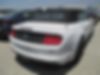 1FATP8UH2K5126170-2019-ford-mustang-1