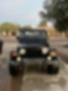 1J4FA49S53P347719-2003-jeep-wrangler-2