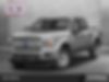 1FTEW1E59JFC01134-2018-ford-f-150-0